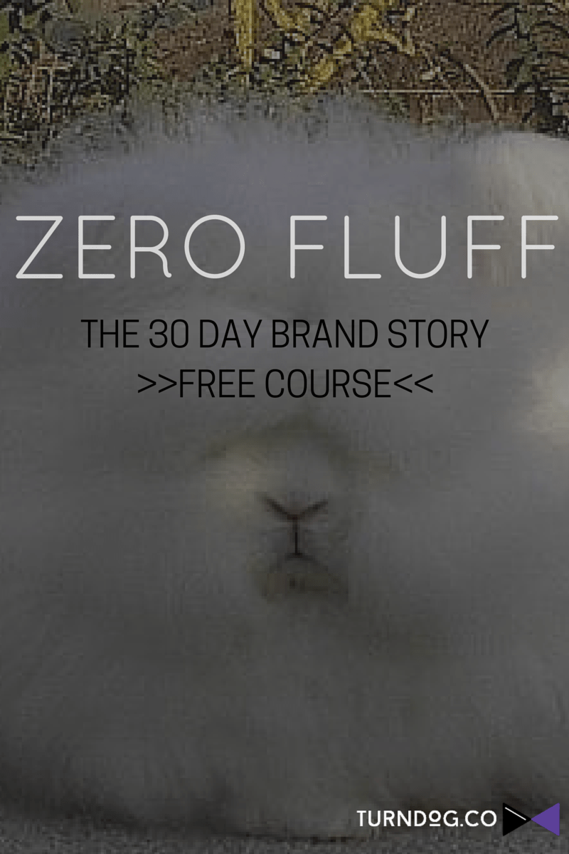 Invigorate Your Brand in 30 Days - The Brand Story Way