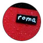 Roma-Boots-Logo-1